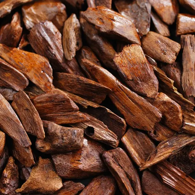 Mysore Sandalwood