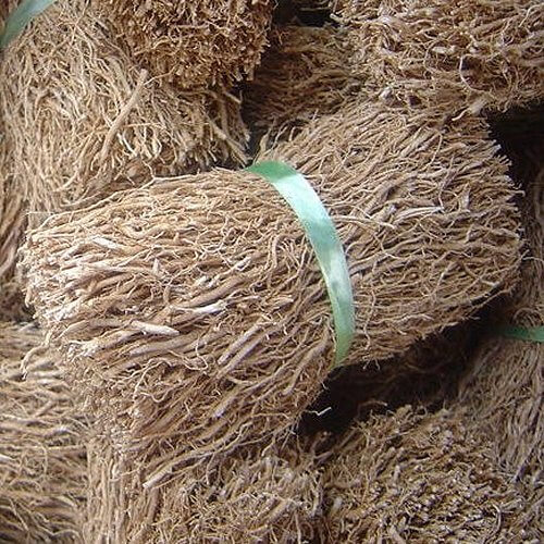 Haitian Vetiver