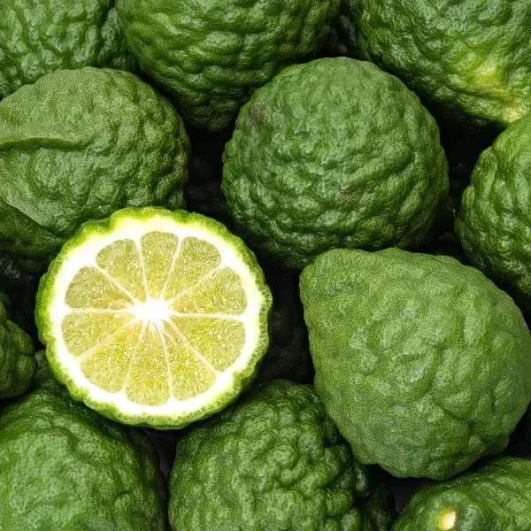 Italian Bergamot