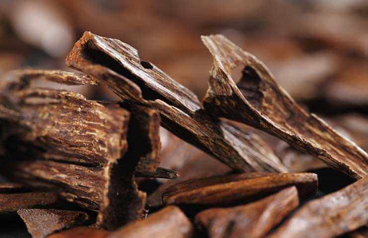 Oud from Laos