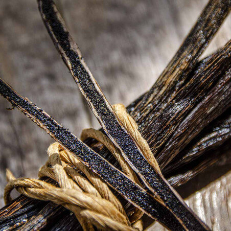 Madagascar Vanilla